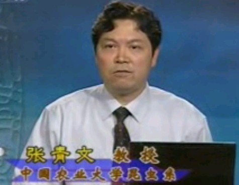 无坚不摧的昆虫军团－张青文